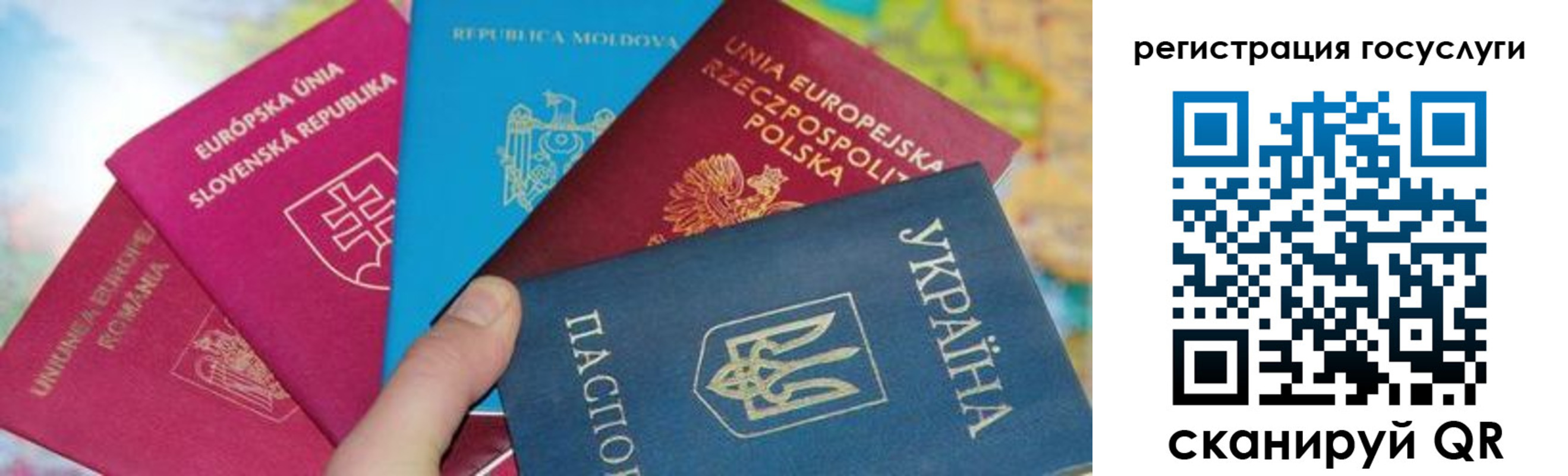 прописка гарантия в Черноголовке
